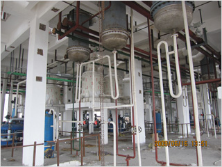 �ɹ�����